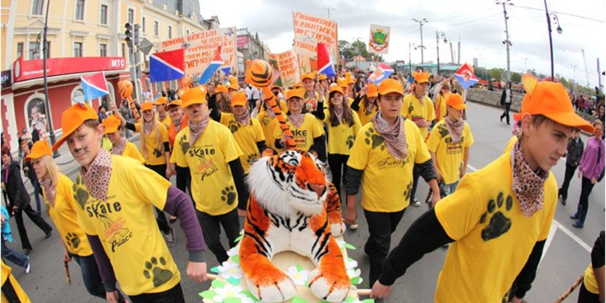 Организация праздника «День Тигра 2011»